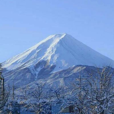 地城之主破解版下载